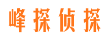 忻城外遇出轨调查取证